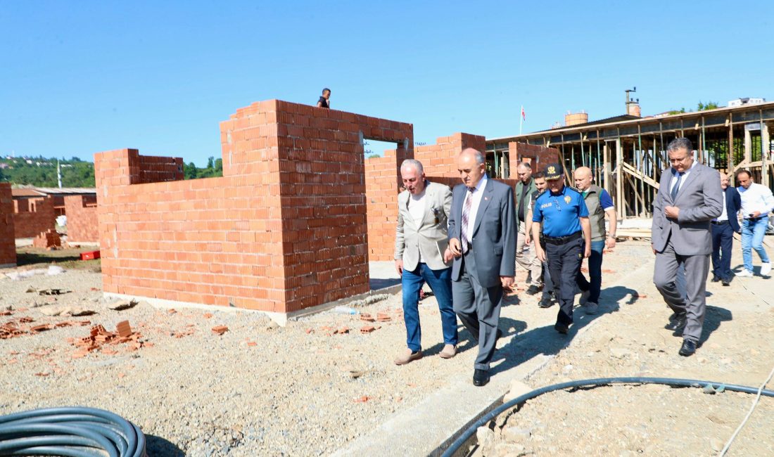 Vali Erol, Sahipsiz Sokak Hayvanları İçin Yapılmakta Olan Barınak, Doğal