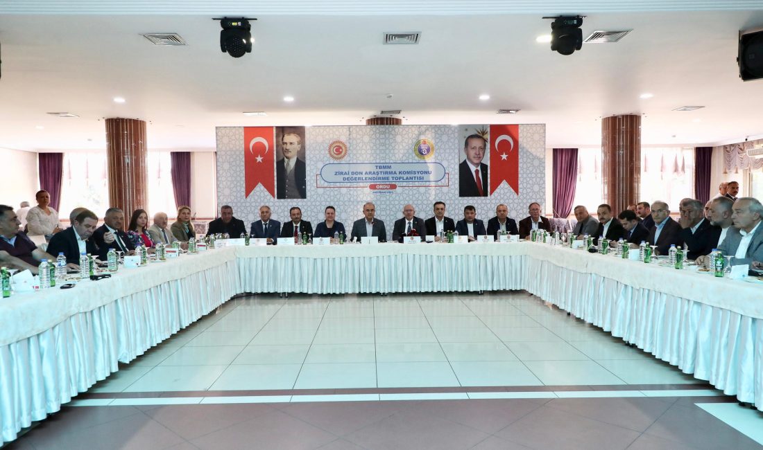 TBMM Zirai Don Olayını Araştırma Komisyonu, Ordu’da fındık üreticilerinin yaşadığı