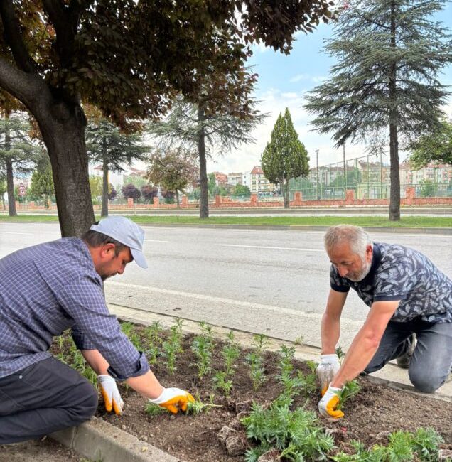 Taşköprü Belediyesi Park ve Bahçeler Müdürlüğü ekipleri, ilçenin dört bir