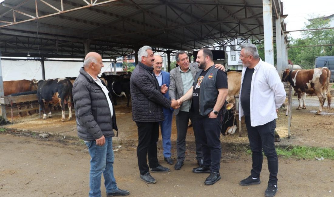 Ordu Büyükşehir Belediyesi, Kurban Bayramı’nda vatandaşların sağlıklı ve hijyenik koşullarda
