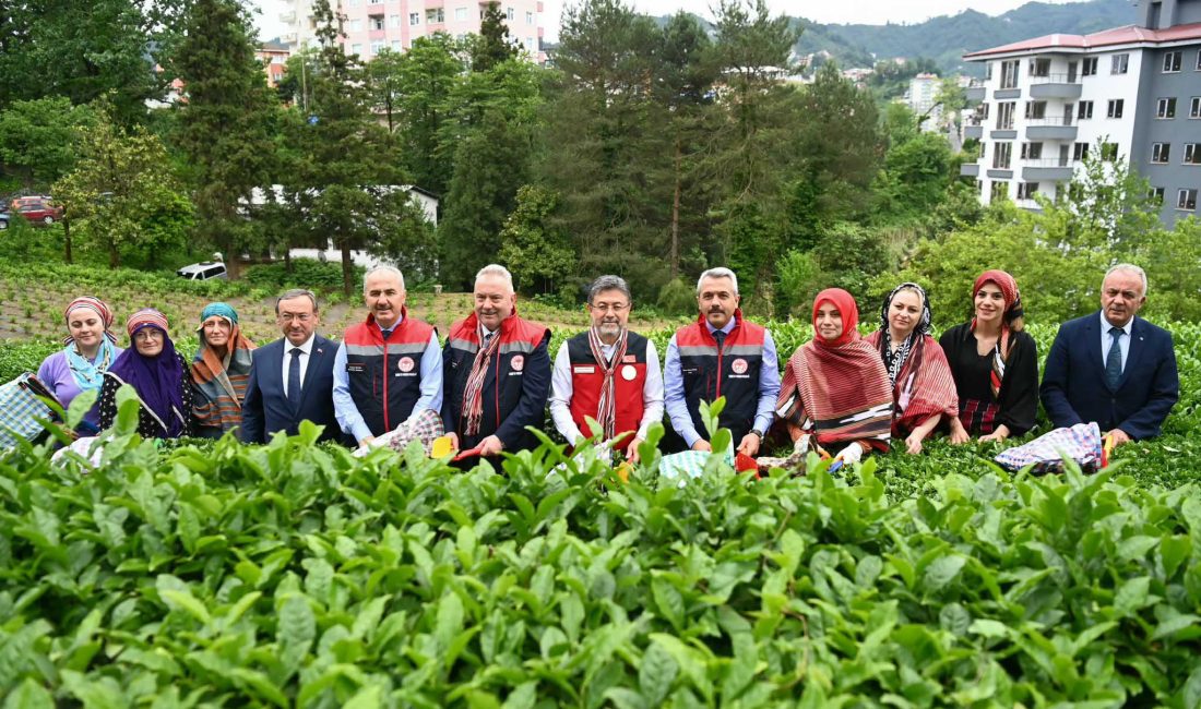 Tarım ve Orman Bakanı İbrahim Yumaklı, Rize’de ÇAYKUR Ziraat Botanik