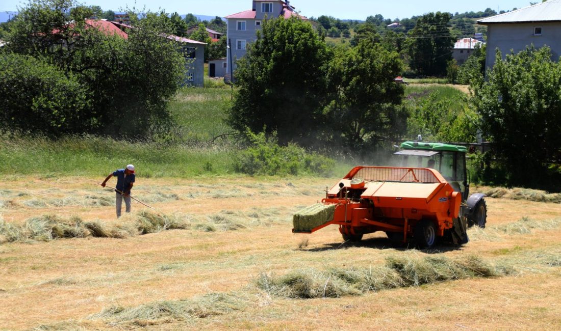 Ordu Büyükşehir Belediyesinin tarım makineleri parkında bulunan araçlar, daha önce