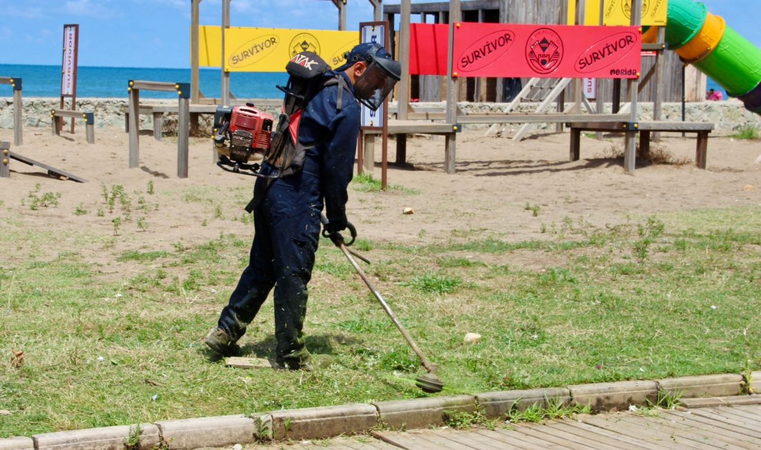 Giresun Belediyesi, Park ve Bahçeler Müdürlüğü şehir genelinde kapsamlı ot