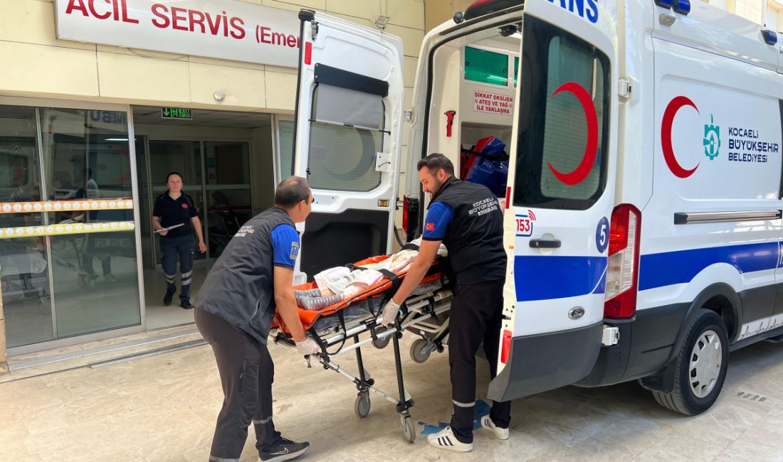 Büyükşehir Belediyesi sağlık alanında hizmetlerine aralıksız devam ediyor. Havaların ısınmaya