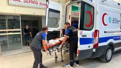 Büyükşehir Belediyesi sağlık alanında hizmetlerine aralıksız devam ediyor. Havaların ısınmaya