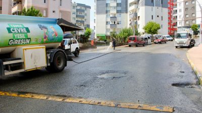 Giresun Belediyesi Temizlik İşleri Müdürlüğü ekipleri, sadece çöpleri toplamakla kalmıyor;