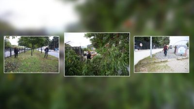 Giresun Belediyesi, şehir genelinde çevre düzenlemesine yönelik çalışmalarına hız kesmeden