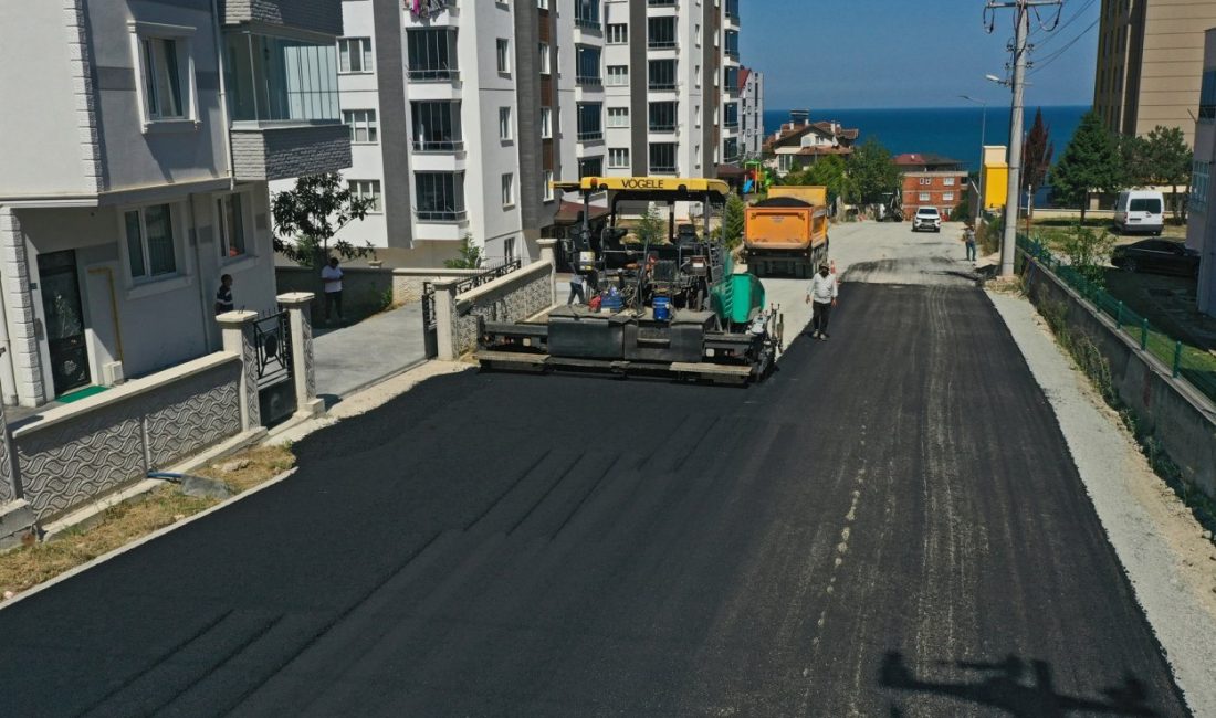 Türkiye’nin kırsal yol ağı uzun ili olan Ordu’da 19 ilçede