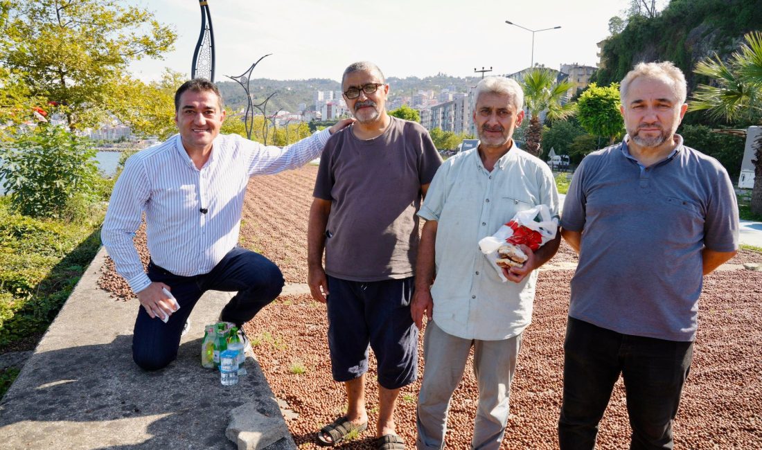 Giresun Belediye Başkanı Fuat Köse, sahilde fındığını kurutan ve özenle