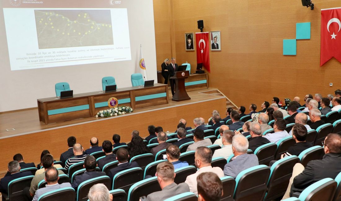 İstilacı bir zararlı olan ve başta fındık olmak üzere tarım