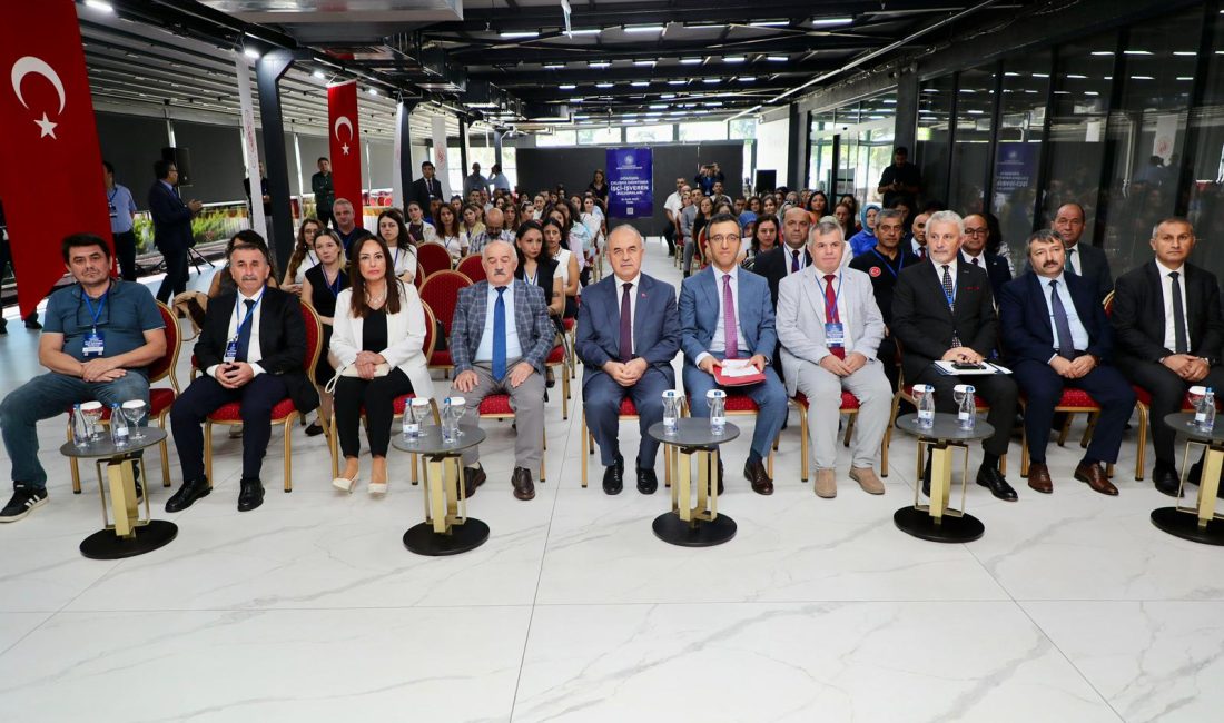 Vali Muammer Erol, Çalışma ve İş Kurumu İl Müdürlüğü koordinesinde,
