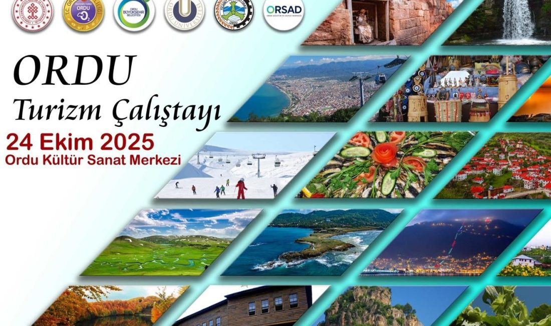 Ordu Valiliği, Ordu Büyükşehir Belediyesi, Ordu Üniversitesi, İl Kültür ve