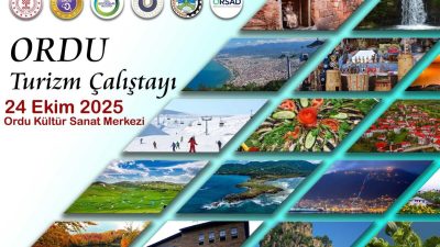 Ordu Valiliği, Ordu Büyükşehir Belediyesi, Ordu Üniversitesi, İl Kültür ve