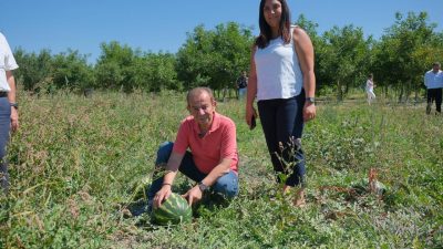 Bolu Belediyesi, Çayırköy’deki 70 dönümlük tarım arazisinde 75 yıl sonra