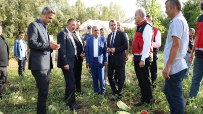 Vali Osman Hacıbektaşoğlu, Çaycuma Yolgeçen Köyü’nde yürütülen “Kartopu Yem Karpuzu