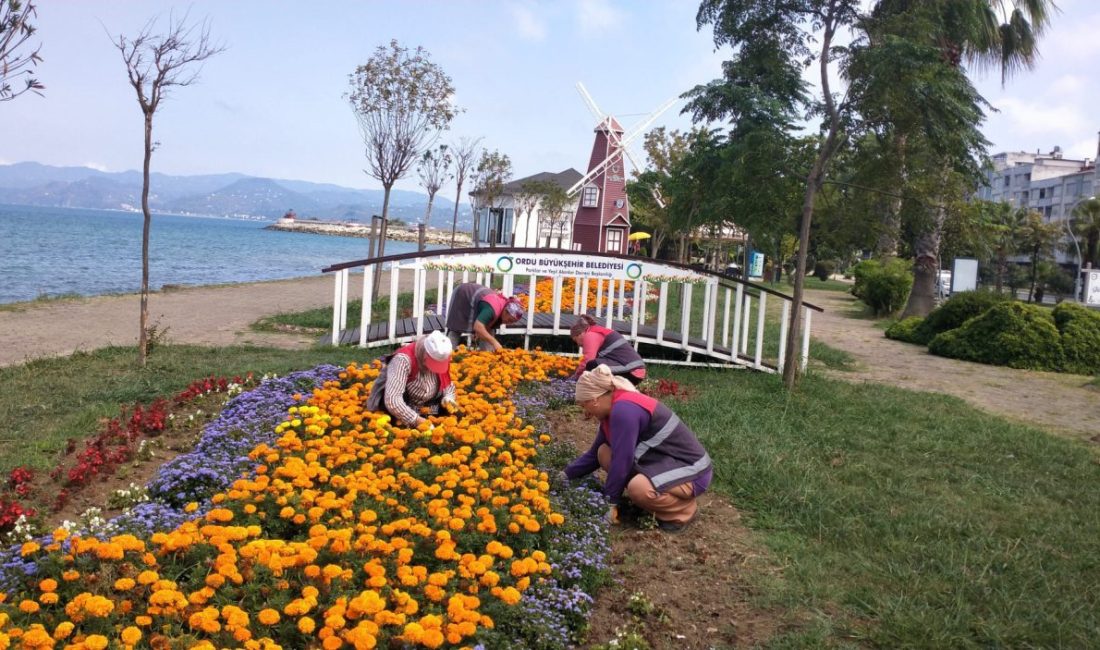 Ordu Büyükşehir Belediyesi, kent estetiğini güçlendirmek ve yaşam kalitesini artırmak