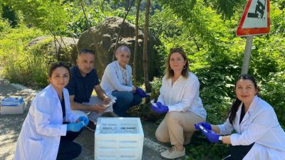 Şehrin tarımdaki potansiyelini en üst seviyeye çıkarmayı hedefleyen Samsun Büyükşehir