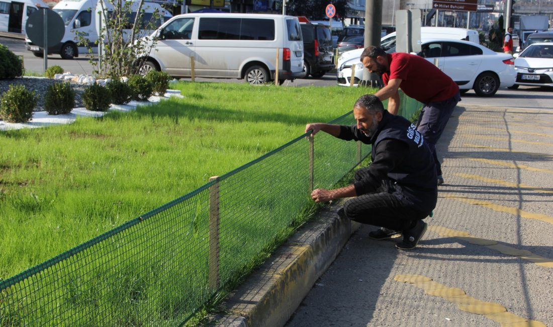 Giresun Belediyesi Park ve Bahçeler Müdürlüğü, kent estetiğini artırmak ve