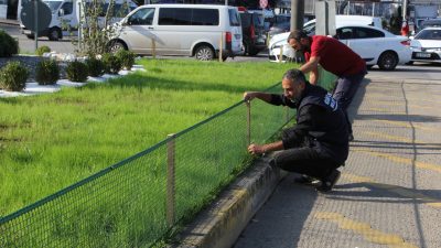 Giresun Belediyesi Park ve Bahçeler Müdürlüğü, kent estetiğini artırmak ve