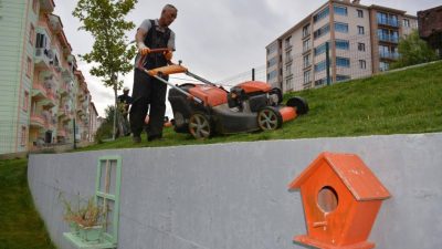 Zile Belediyesi Park ve Bahçeler Müdürlüğü ekipleri, alanda çim biçme,
