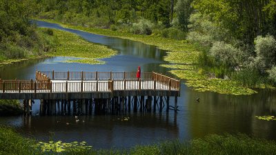 Türkiye’de kültürün, sanatın, eğlencenin merkezi olan Kültür Yolu Festivali takvimine