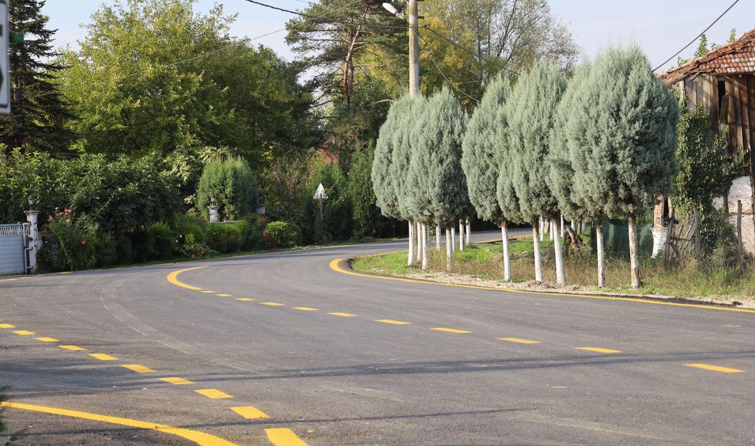 Akyazı’da 4 mahallenin ulaşımı için yepyeni dönem Büyükşehir Belediyesi, asfalt ve yol yapım mesaisi kapsamında Akyazı Düzyazı,