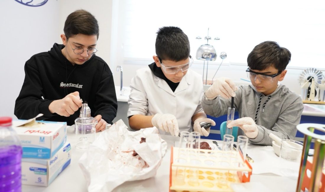 Millî Eğitim Bakanlığının yayımladığı kılavuza göre bilim ve sanat merkezleri