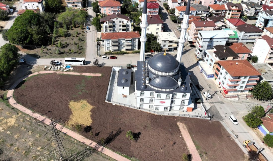 Kocaeli Büyükşehir Belediyesi, kent genelinde sürdürdüğü çevre düzenleme çalışmaları kapsamında