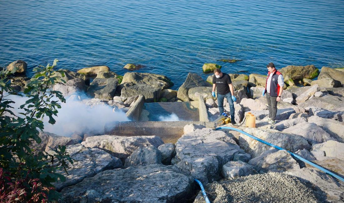 Sahil Bölgesindeki Menfezler İlaçlanıyor Giresun Belediyesi Veteriner İşleri Müdürlüğü tarafından, yaz mevsimi boyunca şehrin
