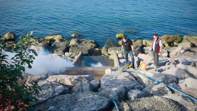 Giresun Belediyesi Veteriner İşleri Müdürlüğü tarafından, yaz mevsimi boyunca şehrin