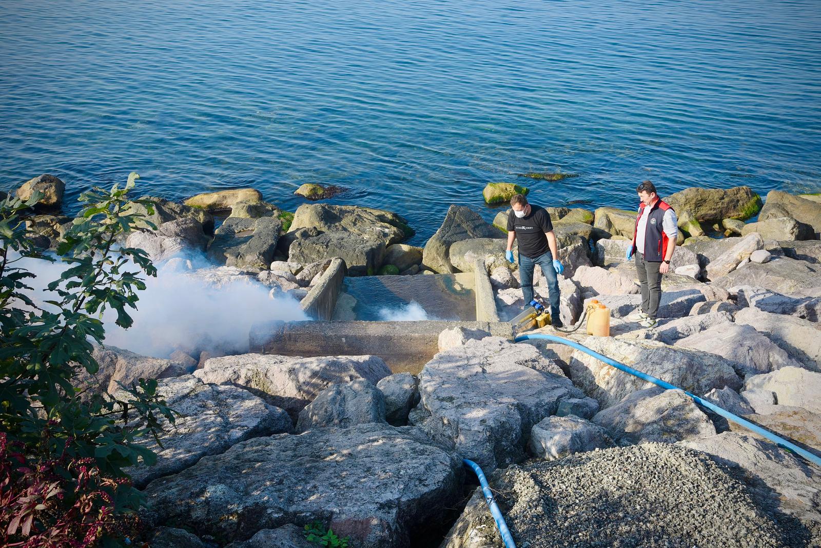 Sahil Bölgesindeki Menfezler İlaçlanıyor Giresun Belediyesi Veteriner İşleri Müdürlüğü tarafından, yaz mevsimi boyunca şehrin