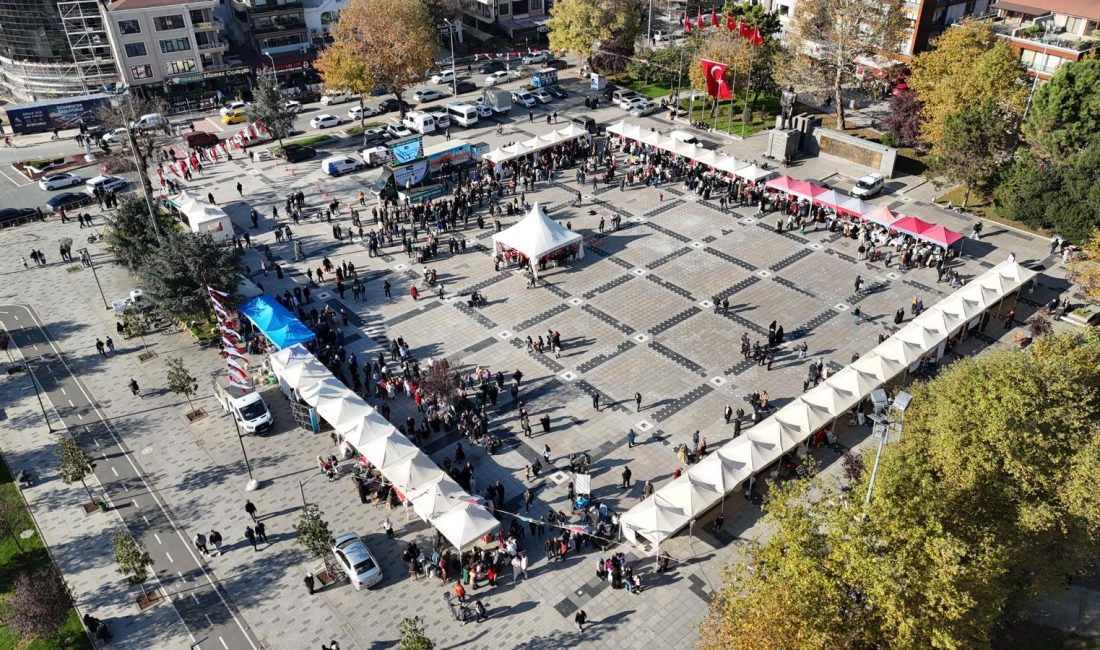 Düzce Belediyesi, Düzce Kent Konseyi, Filistin’e Destek Platformu, Kamu kurumları