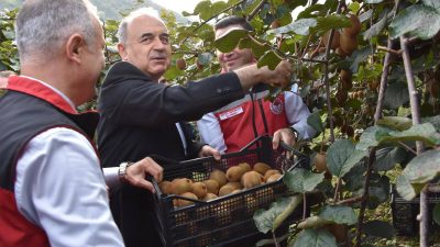 Ordu İl Tarım ve Orman Müdürlüğü’nden yapılan açıklamaya göre, ilin