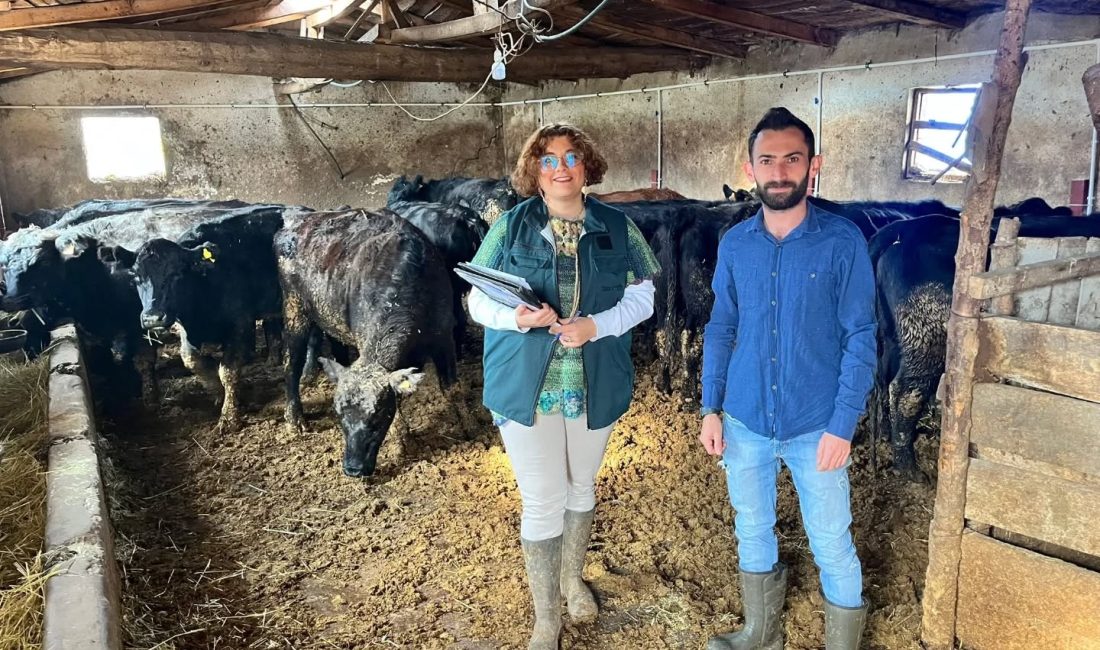 “Kırsalda Bereket Hayvancılığa Destek Projesi” kapsamında damızlık hayvanların ilk partisi teslim edildi Kırsalda Bereket Hayvancılığa Destek Projesi Giresun’da asil hak sahiplerinden, projenin
