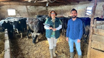 Kırsalda Bereket Hayvancılığa Destek Projesi Giresun’da asil hak sahiplerinden, projenin