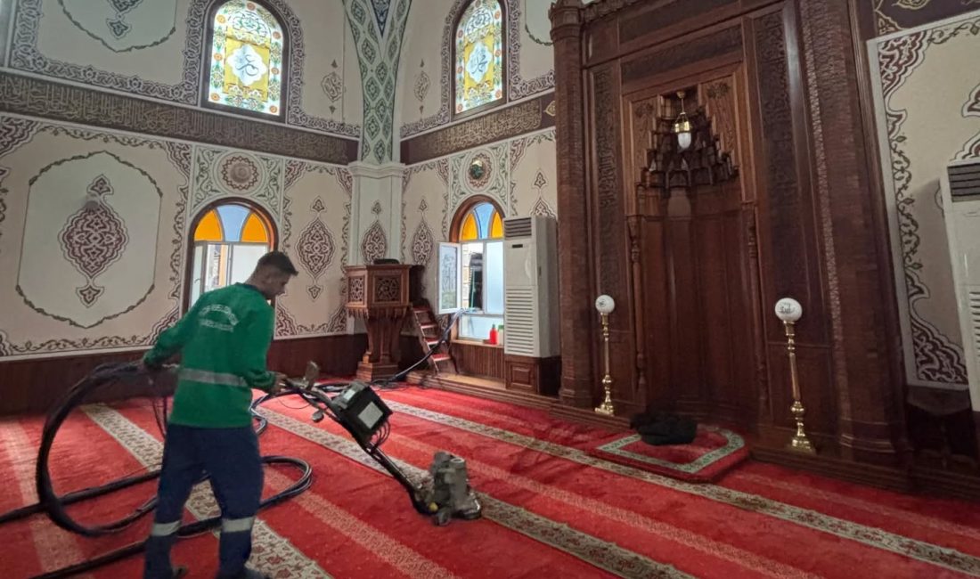 Rize Belediyesi Temizlik İşleri Müdürlüğü ekipleri, halk sağlığı ve çevre