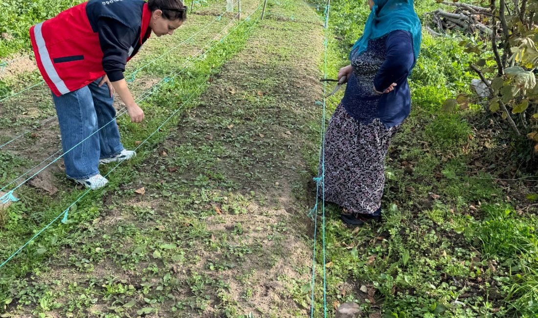 Orchidaceae familyasına ait olan ve bölgede önemli bir değer haline