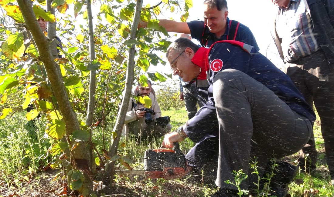 Terme İlçe Tarım ve Orman Müdürlüğü ile Terme Halk Eğitim