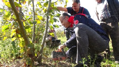 Terme İlçe Tarım ve Orman Müdürlüğü ile Terme Halk Eğitim