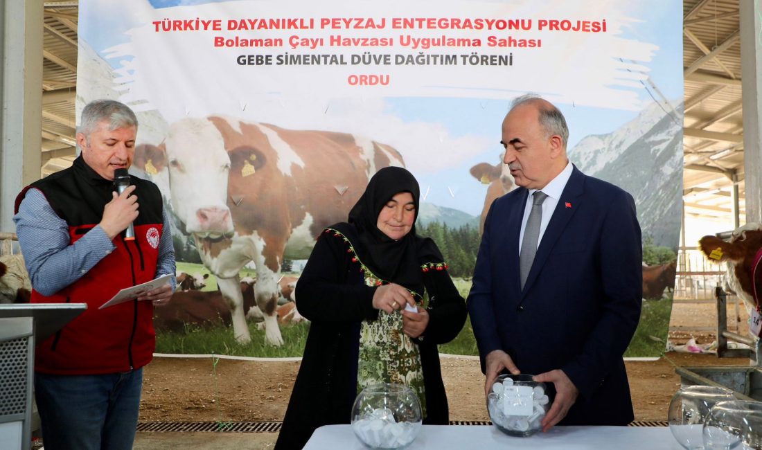 Türkiye Dayanıklı Peyzaj Entegrasyonu Projesi (TULIP) Bolaman Nehri Havzası Rehabilitasyon
