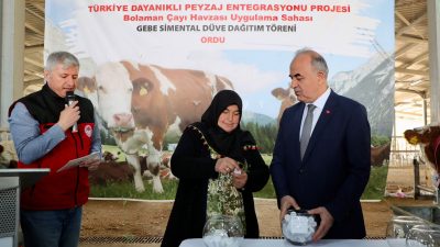 Türkiye Dayanıklı Peyzaj Entegrasyonu Projesi (TULIP) Bolaman Nehri Havzası Rehabilitasyon