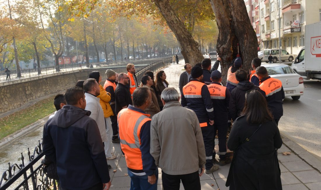 Karaçomak Deresi kenarında bulunan çınar ağaçları Kastamonu Belediyesi ile İstanbul