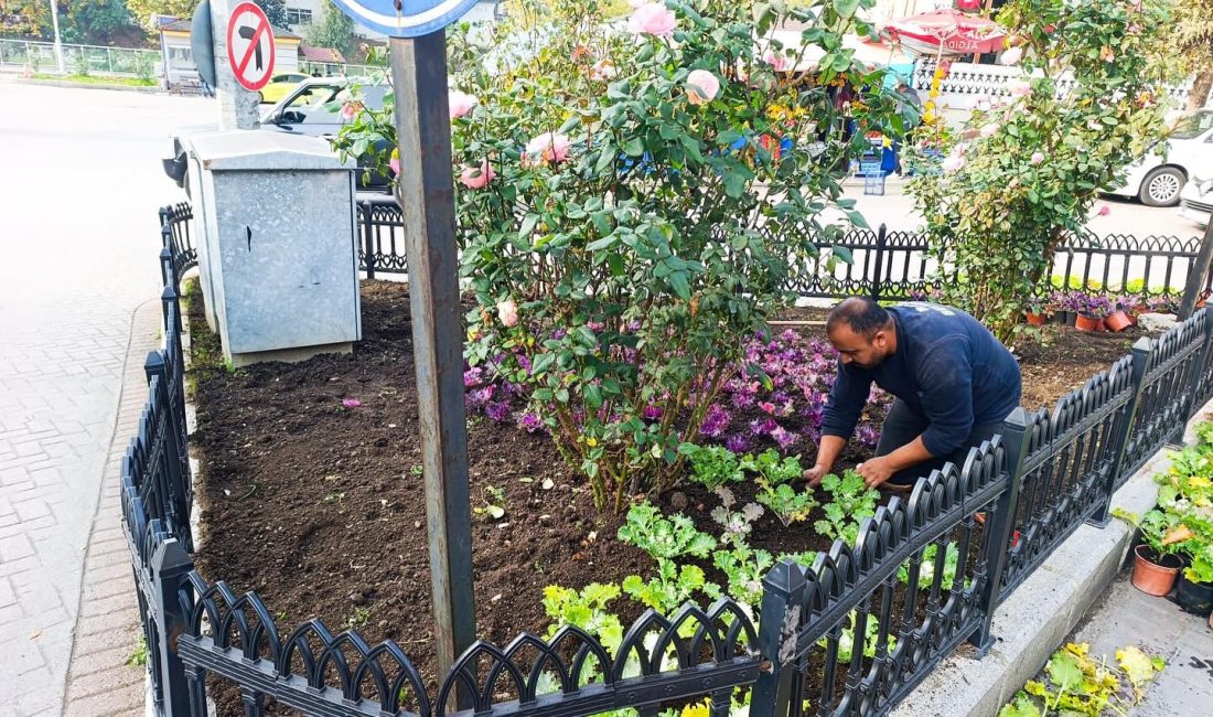 Yeşil Alanlarda Çevre Düzenlemelerimiz Devam Ediyor Bartın Belediyesi ekipleri tarafından kent genelinde bulunan yeşil alanlarda mevsime