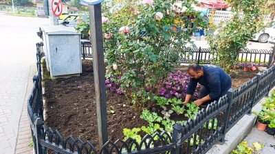 Bartın Belediyesi ekipleri tarafından kent genelinde bulunan yeşil alanlarda mevsime