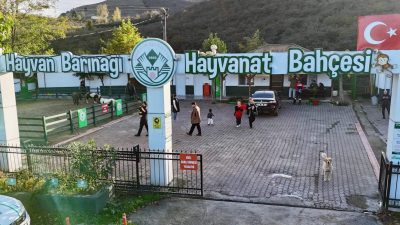 Giresun Belediyesi Veteriner İşleri Müdürlüğü’ne bağlı Hayvan Barınağı, 2025 yılı