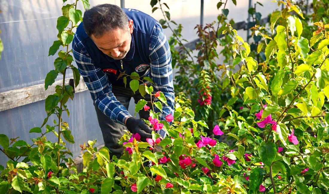 Giresun Belediyesi’nden Bir İlk Daha! Giresun Belediyesi örnek bir projeye imza atarak park ve bahçeler