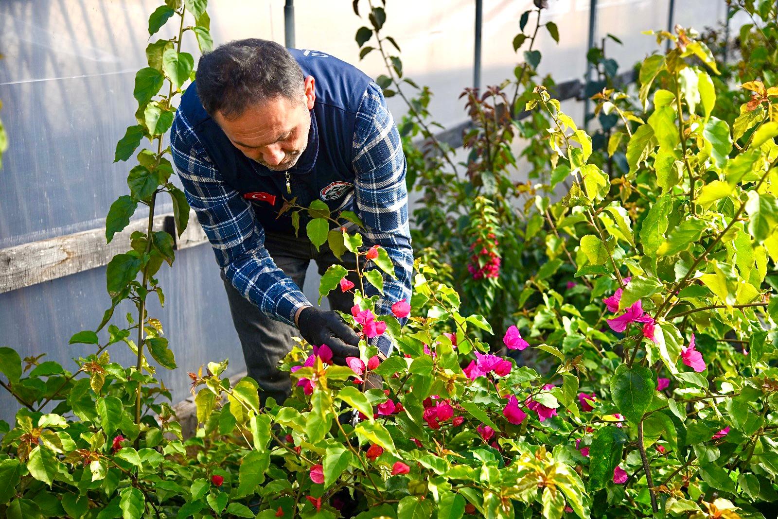 Giresun Belediyesi’nden Bir İlk Daha! Giresun Belediyesi örnek bir projeye imza atarak park ve bahçeler