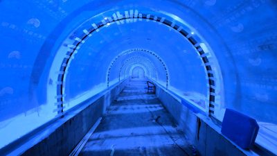 Kocaeli Büyükşehir Belediyesi’nin İzmit Millet Bahçesi’nde hayata geçirmeyi hazırladığı “Kocaeli