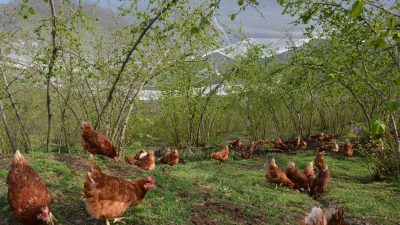DOKAP Bölge Kalkınma İdaresi Başkanlığı ile İl Müdürlüğümüz iş birliğinde