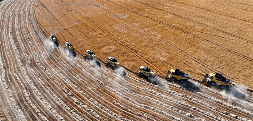 Bakan Yumaklı, Üçüncü Çeyreğe İlişkin Büyüme Verilerini Değerlendirdi Tarım ve Orman Bakanı İbrahim Yumaklı, yılın üçüncü çeyreğine ilişkin